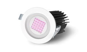 Ultra Violet LED downlight