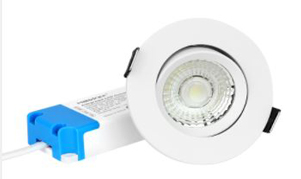 6W LED Downlight
