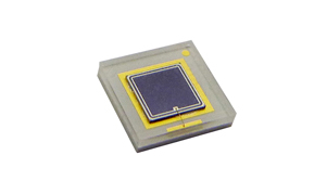 Ligitek SMD Photodiode